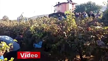 Küçük Irmak'ın cansız bedenine ulaşıldı