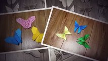 How To Make An Easy Origami Butterfly | Easy Origami Butterfly Folding | Origami Butterfly