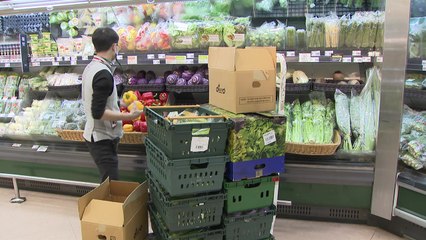 새벽에 딴 상추 당일 바로 식탁에...'초신선' 식품 경쟁 / YTN