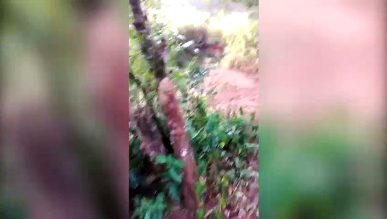 "Como se não bastasse a falta de água, o pouco que tem tá poluído", diz moradora sobre esgoto despejado em córrego no Bairro Guarujá