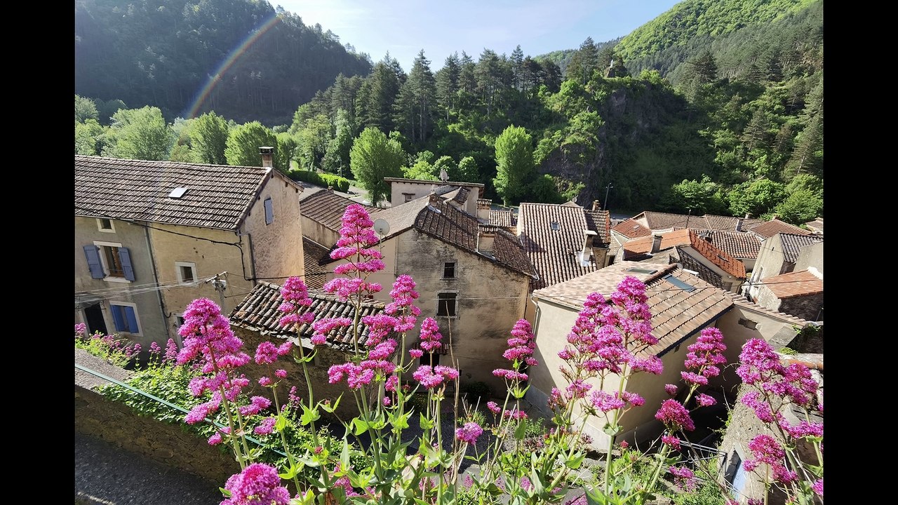 AVENE
