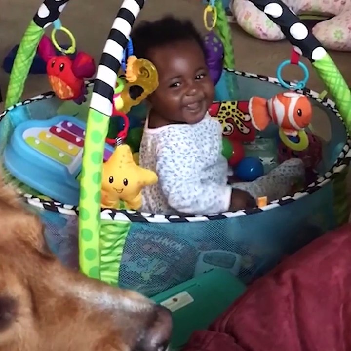 bebe avec les animaux