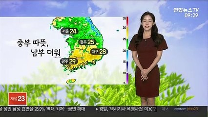 [날씨] 하늘 흐리고 오전까지 빗방울…한낮 초여름 더위