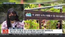 불법 시설물로 몸살 앓던 계곡…청정계곡으로 탈바꿈