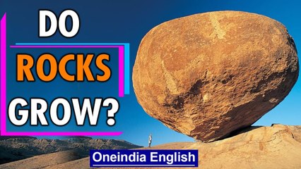 Rocks are considered immovable and immutable, but can they grow? | Oneindia News