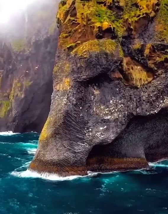 Elephant rock video