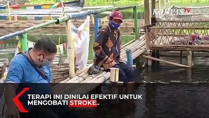 Wisata Ranu dengan Wahana Terapi Ikan Bisa Sembuhkan Stroke
