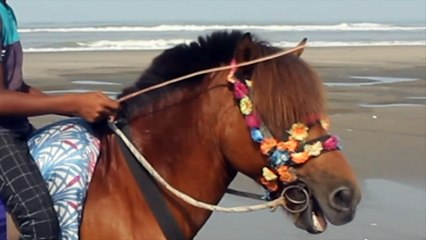 Horses starve as pandemic hits Bangladesh tourism