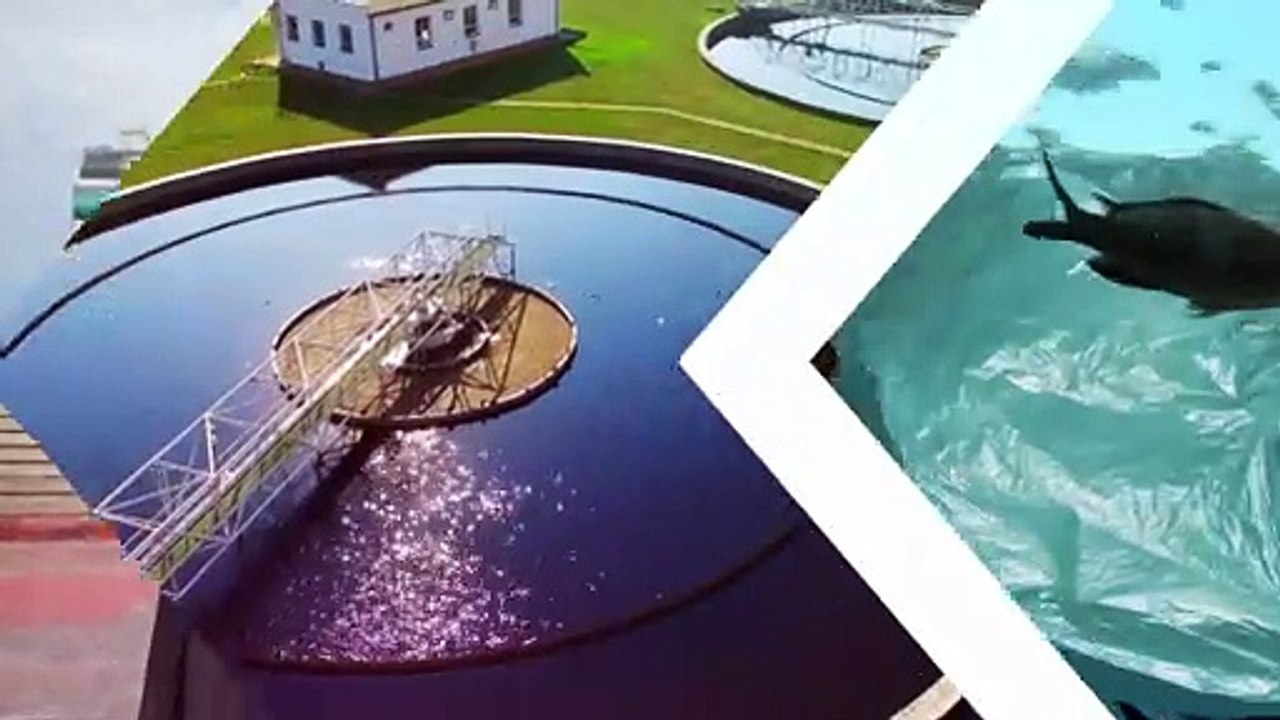 Der Kampf um den Nationalpark Vjosa geht weiter