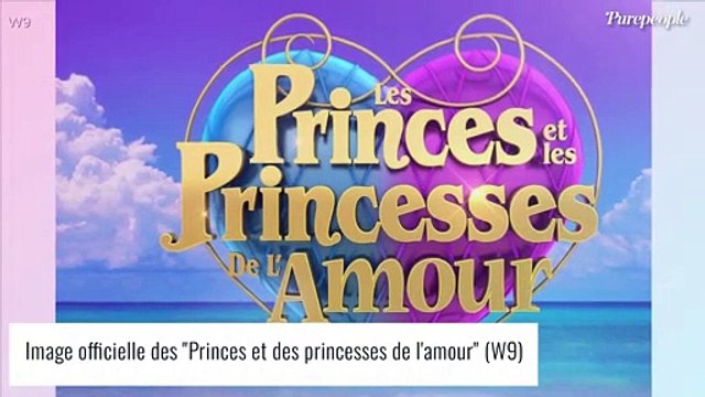 Les Princes de l'amour : Prison ferme pour un ex candidat accusé de violences conjugales