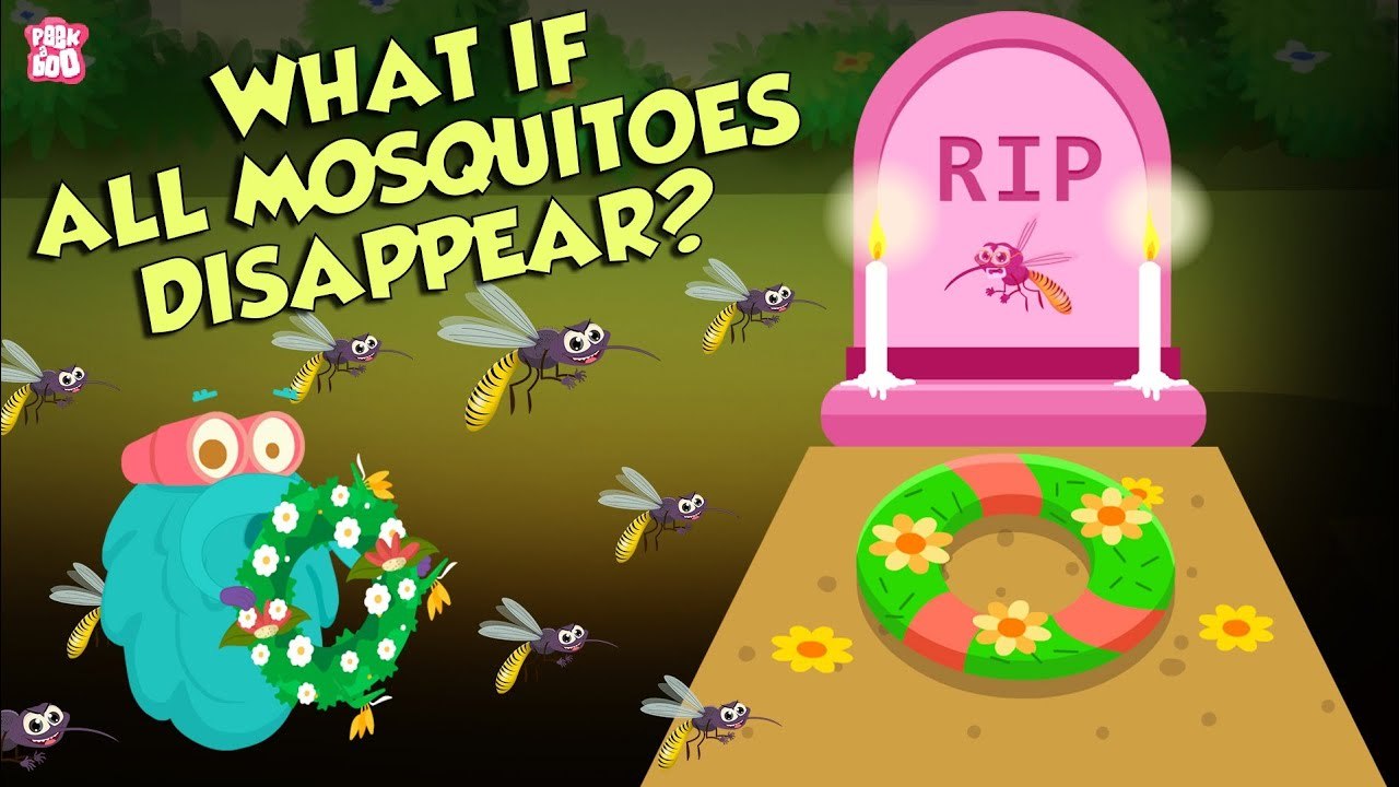 What If All Mosquitoes Disappear? World Without MOSQUITOES The Dr