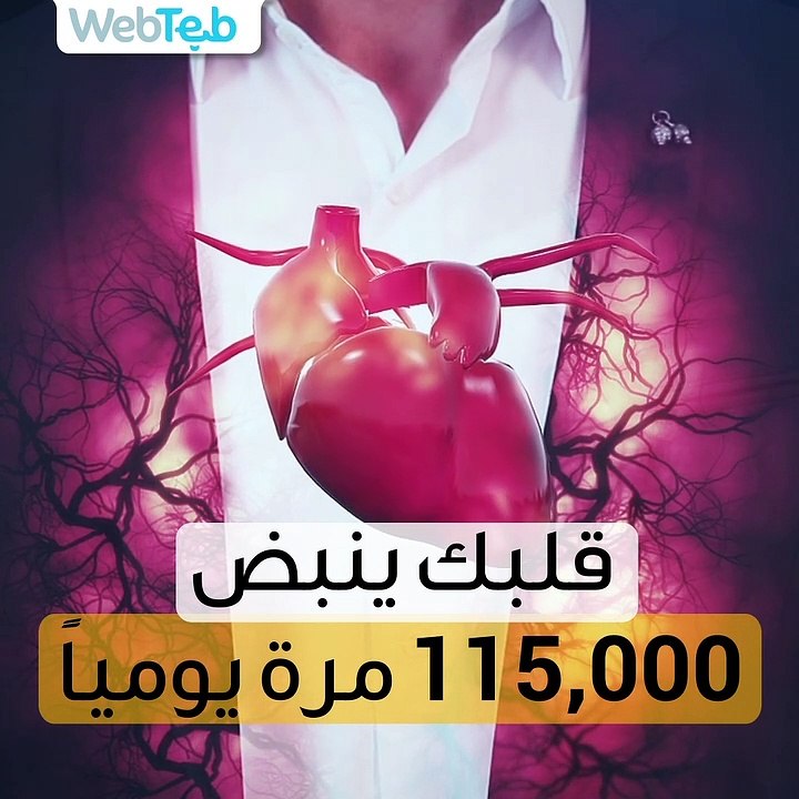 معلومات عن القلب.. تعرف عليها الآن