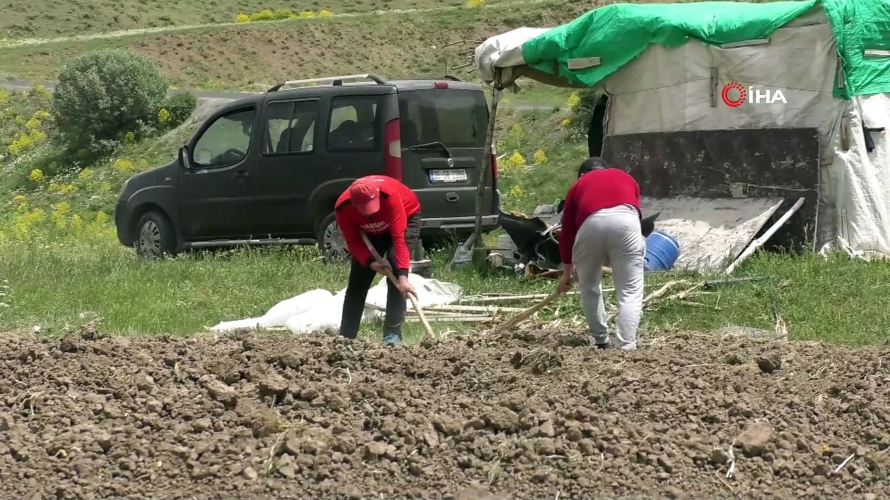 Ekmek mücadelesi için kavurucu sıcaklara göğüs geriyorlar
