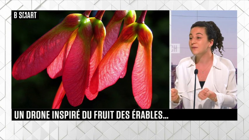 LE RENDEZ-VOUS du lundi 31 mai 2021