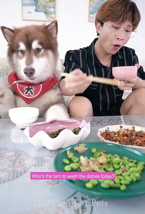 Ajob Lift | Kaishya| Funny Bangla Dubbing Video | 2018| 3 Idiots Fun