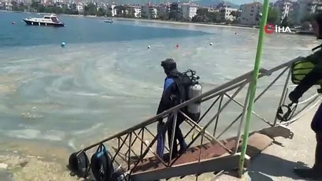 Prof. Mustafa Sarı'dan müsilaj uyarısı: Ölü taklidi yapmaya gerek yok, bekleyecek bir şey yok
