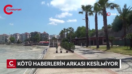 Korkulan oluyor: Müsilaj nedeniyle Kırmızı mercan yatakları ölmeye başladı