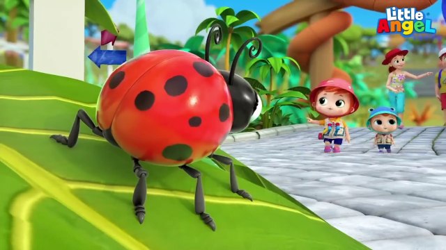 Can Bebek Ufak Canlıları Tanıyalım, Küçük Böcek _ Kesintisiz Bebek ve Çocuk Şarkıları _