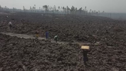 La UE destina 2 millones de euros de ayuda a las víctimas del volcán en RDC
