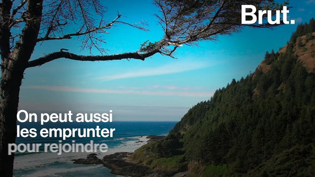 États-Unis : le paysage de Cape Perpetua
