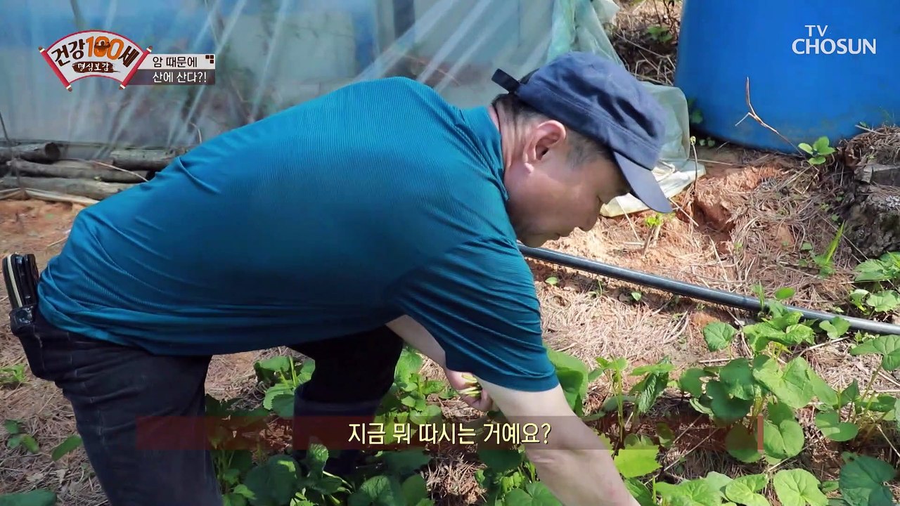 자연의 힘으로 암을 이긴 그의 비법 大 공개 TV CHOSUN 210530 방송