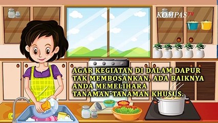 5 Tanaman Dapur Multifungsi, Ampuh Usir Bau Tak Sedap