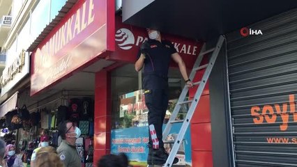 Yaramaz kediyi kurtarmak için ekipler seferber oldu