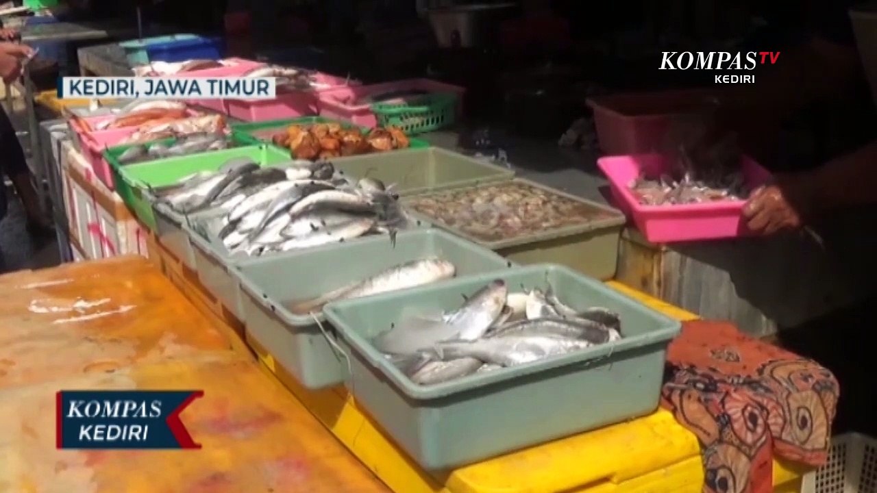 Akibat Gelombang Tinggi Ikan Laut Langka dan Mahal