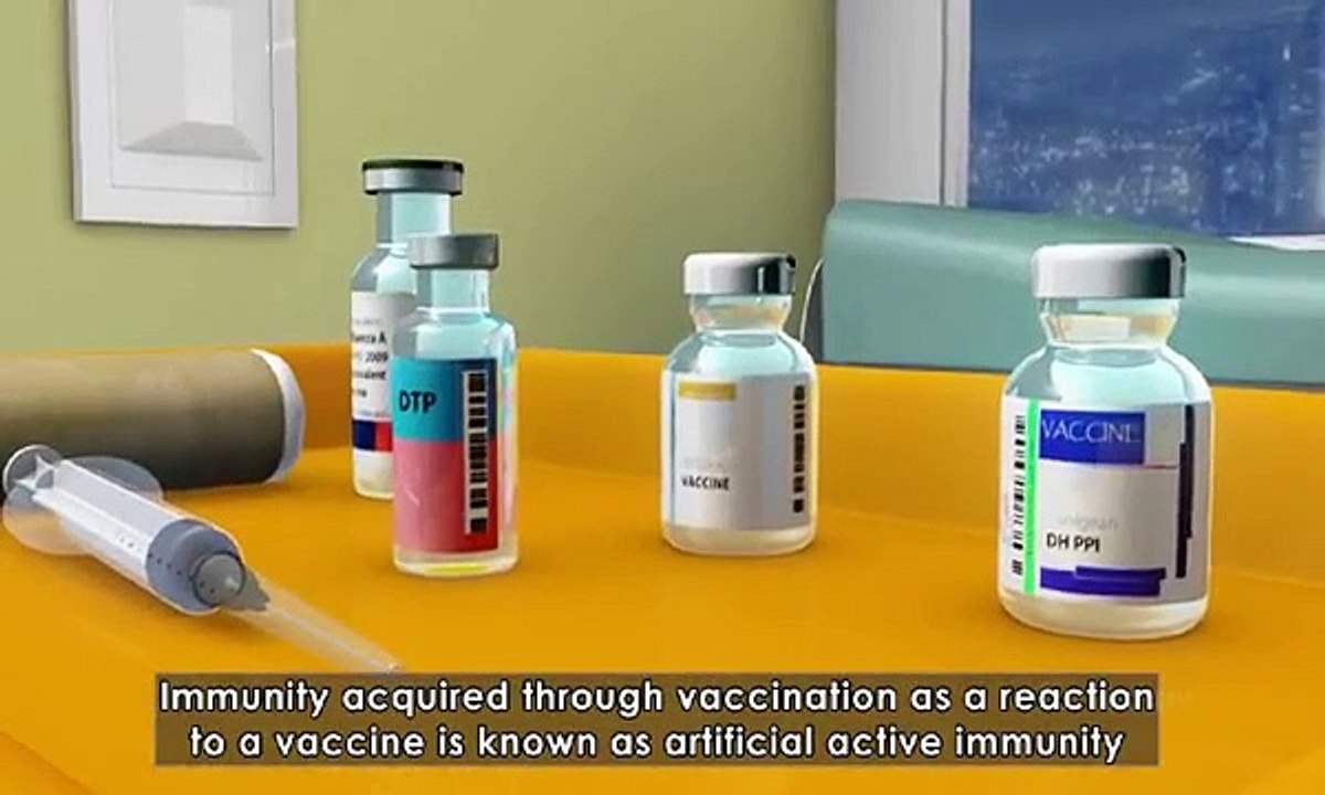 Immunity basics