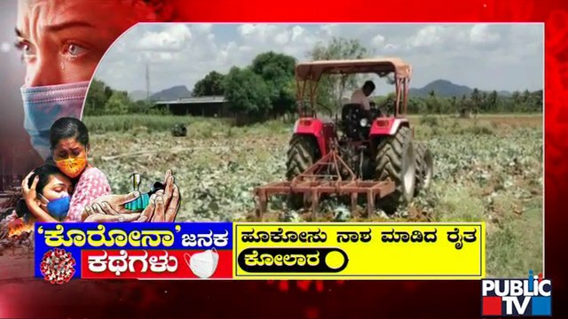 Farmers Destroying Their Own Crops In Karnataka | Farmers | Lockdown Effect