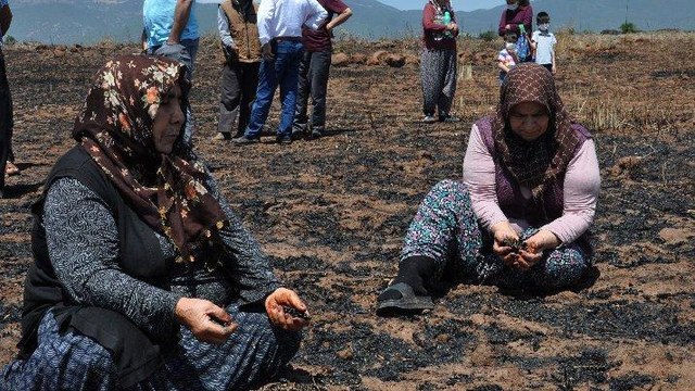 Bir yıllık emekleri kül oldu…