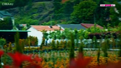 مسلسل قطاع الطرق الحلقة 11