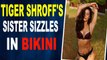 Tiger Shroff's sister flaunts her perfect curves in bikini