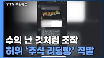 가짜 '리딩방' 만들어 투자자 현혹...28억 가로챈 조직 적발 / YTN