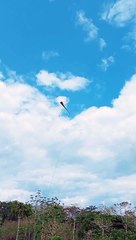 Batang 90s: Nostalgic Throwback 🎬