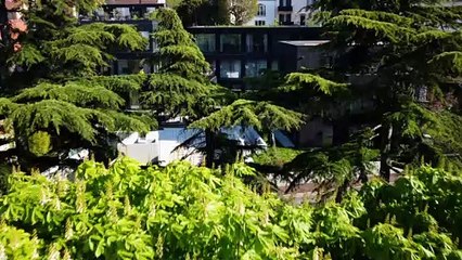 #79 - Transformation of offices and apartments