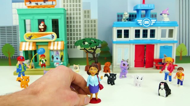 Paw Patrol Toy Learning Video For Kids - Adventure Bay Rescue Mission: Missing Cats & Everest!