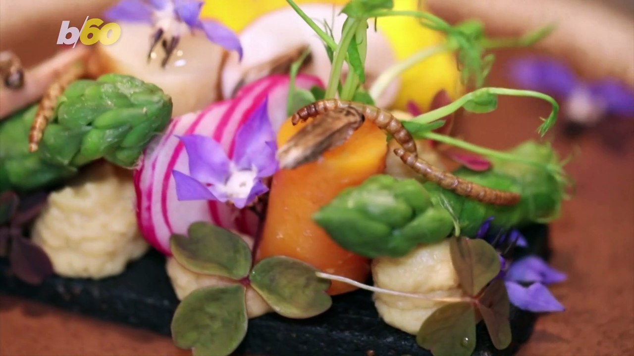 French Restaurant Serves Meals Topped With Prawns and Mealworms!