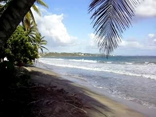 Plage du Diamant Martinique Février 2008