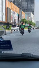 Brave Dog Sprints Down Busy Street