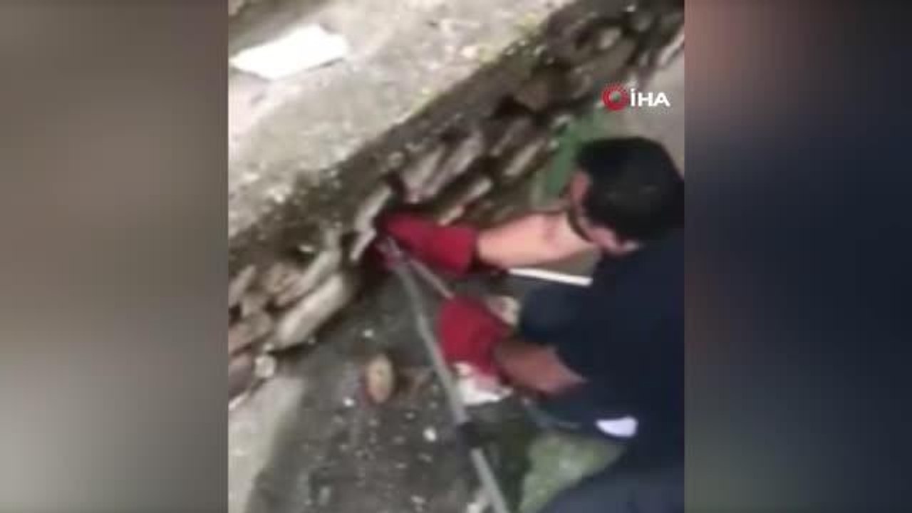 Evin istinat duvarına giren yılan korkuttu