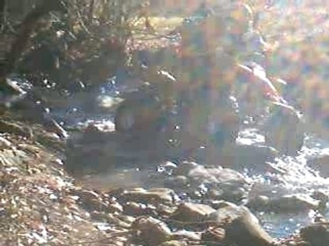 Patrick dans ses exploits