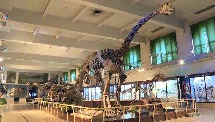 Episodio 70.- NCC en Señal Informativa del 01 al 07 de junio de 2021