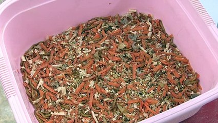 مربي "ديدان خارقة" في الكويت يرسم لها طريقا نحو أطباق الخليجيين