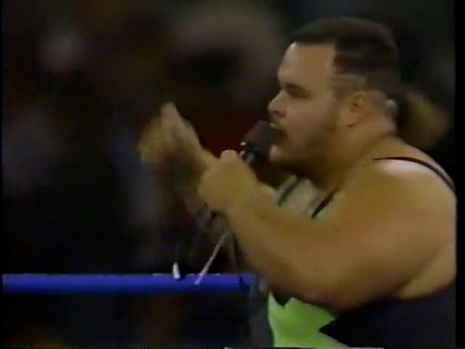 PN News vs. Al Steele [1991-06-01]
