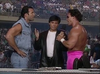 1996-06-03 - Scott Hall & Sting