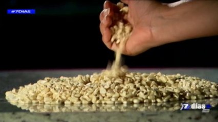 7 Días: El transgénico nuestro de cada día - 200415