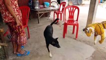 Wow!!! Fake Tiger prank Dog So Funny Try To Stop Laugh Challen