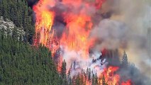 Strong Huge Forest Fire Burning heavy smoke and open fire Trees on Mountain