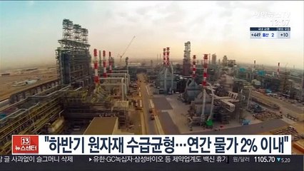 "하반기 원자재 수급균형…연간 물가 2% 이내"